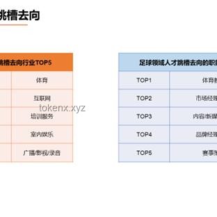 职场跳槽频率与稳定性：大厂HR视角下的职场生态洞察